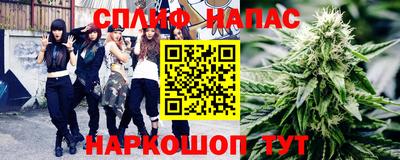 mdpv Краснознаменск