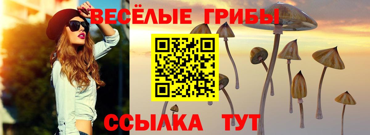 Донской  Псилоцибиновые грибы Psilocybine cubensis  Галлюциногенные грибы MAGIC MUSHROOMS  Вход с VPN 